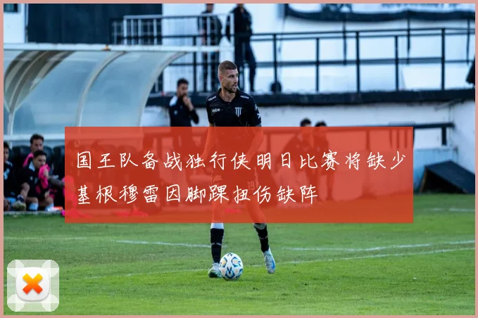 国王队备战独行侠明日比赛将缺少基根穆雷因脚踝扭伤缺阵